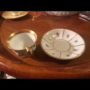 Vintage KPM cup and saucer, Kjobenhavns Porcellains Maleri